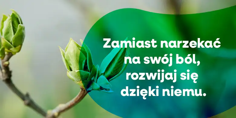 Nie załamuj się, tylko się podnieś (2)
