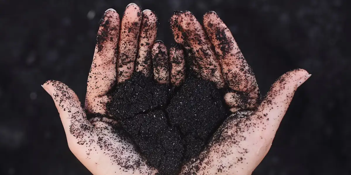 Zatrute serce... O goryczy, która niszczy nasze wnętrze.