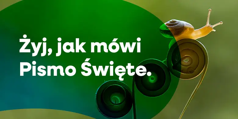 Żyj, jak mówi Pismo Święte