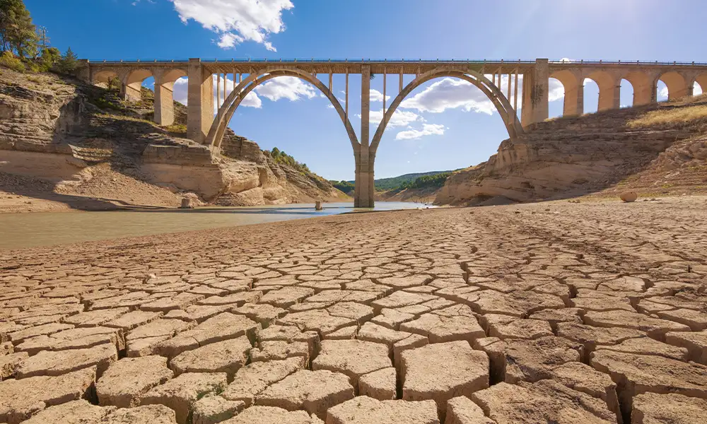 Czy przyroda sobie poradzi? Jak naprawić zepsuty świat?