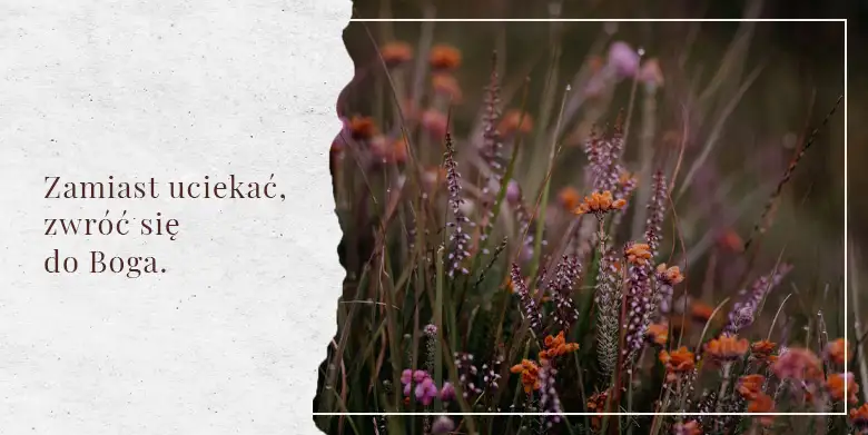 Zważaj na ostrzeżenia.