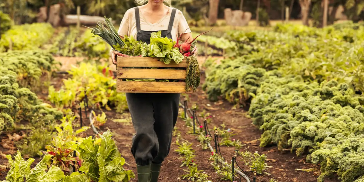 Po co dżdżownicy kolory? O ukrytym pięknie w każdym stworzeniu.
