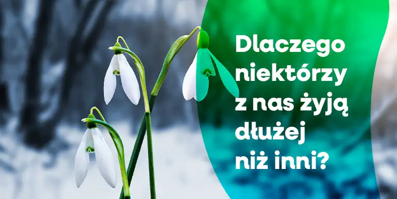 Jak długo będziesz żył?