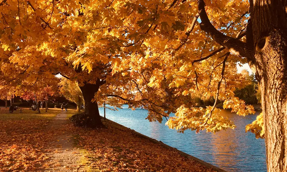 Wrzesień! O świadomym i uważnym towarzyszeniu dziecku.
